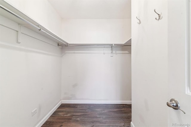 walk in closet featuring dark wood finished floors