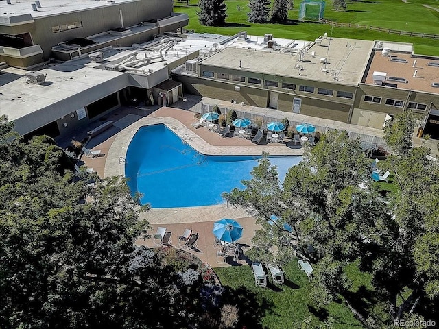 pool featuring a patio and fence