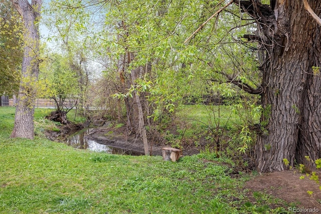 view of yard with a view of trees