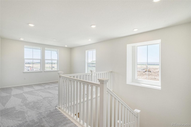 2237 Garden Ave, Brighton, CO 80601 - photo 21