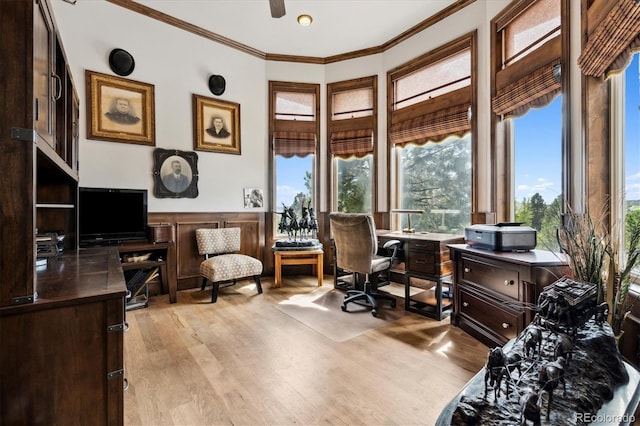 office space featuring crown molding and light hardwood / wood-style floors