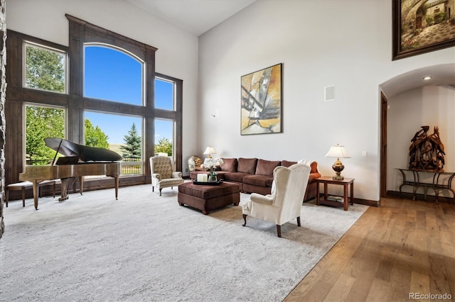 living room with light hardwood / wood-style flooring and a towering ceiling