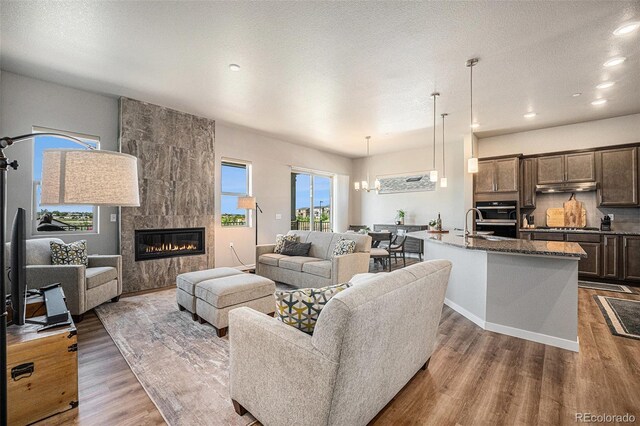 811 W 128th Pl, Westminster, CO 80234 - living room featuring wood finished floors, recessed lighting, and a fireplace