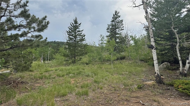 007 Virginia Canyon Rd, Central City, CO 80427