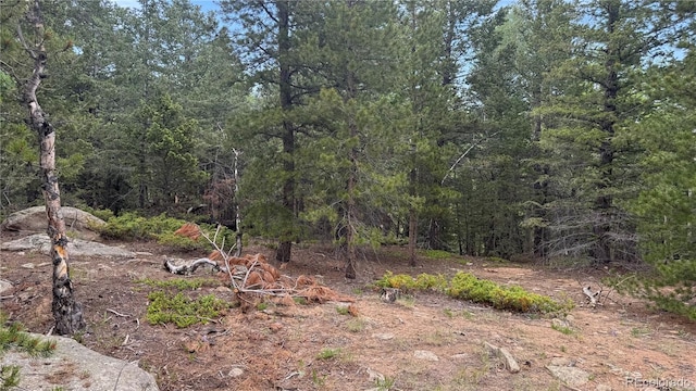 007 Virginia Canyon Rd, Central City, CO 80427