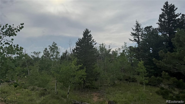 007 Virginia Canyon Rd, Central City, CO 80427