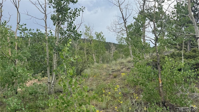 007 Virginia Canyon Rd, Central City, CO 80427