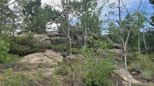 007 Virginia Canyon Rd, Central City, CO 80427