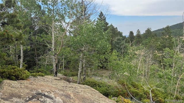 007 Virginia Canyon Rd, Central City, CO 80427