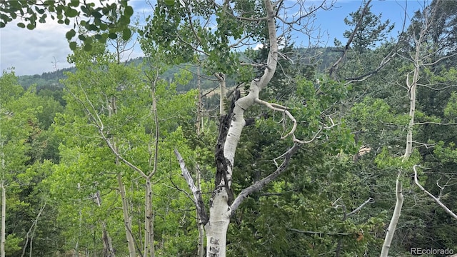 007 Virginia Canyon Rd, Central City, CO 80427