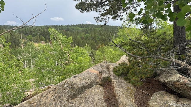 007 Virginia Canyon Rd, Central City, CO 80427