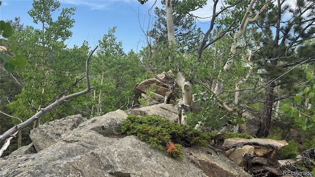 007 Virginia Canyon Rd, Central City, CO 80427