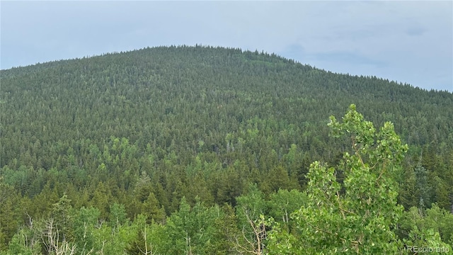007 Virginia Canyon Rd, Central City, CO 80427
