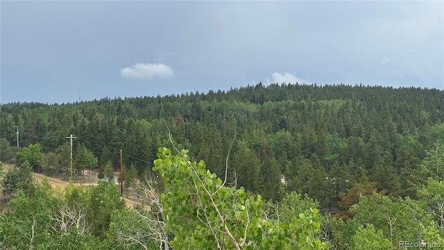 007 Virginia Canyon Rd, Central City, CO 80427