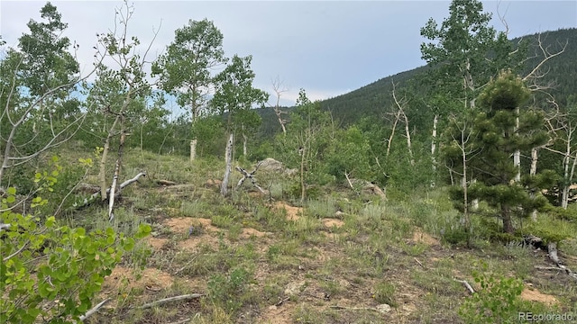 007 Virginia Canyon Rd, Central City, CO 80427
