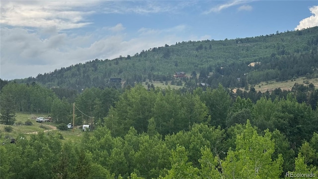 007 Virginia Canyon Rd, Central City, CO 80427