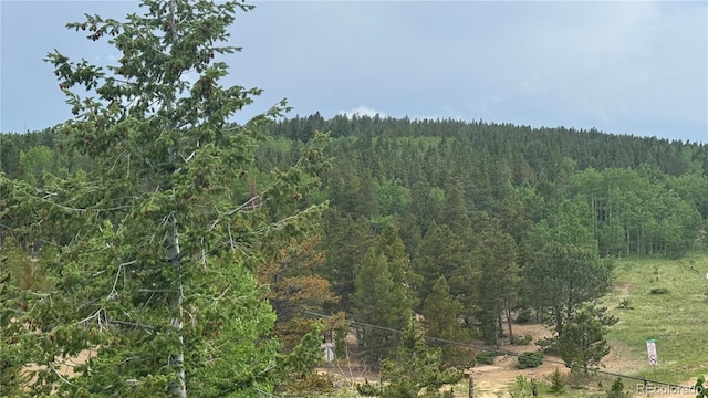 007 Virginia Canyon Rd, Central City, CO 80427