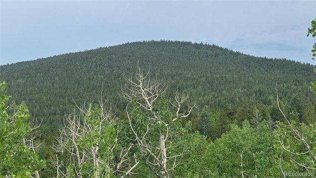 007 Virginia Canyon Rd, Central City, CO 80427