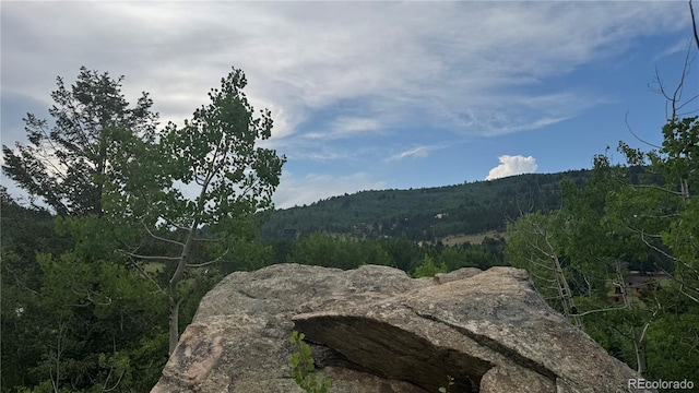007 Virginia Canyon Rd, Central City, CO 80427