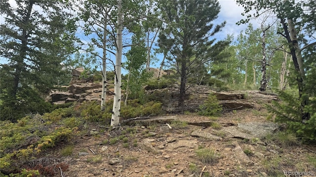 007 Virginia Canyon Rd, Central City, CO 80427