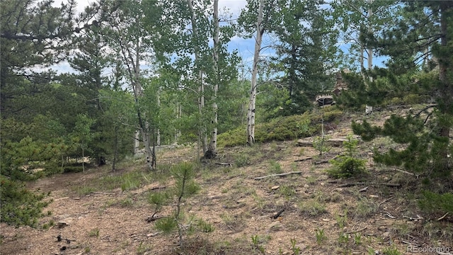 007 Virginia Canyon Rd, Central City, CO 80427