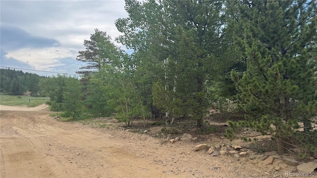 007 Virginia Canyon Rd, Central City, CO 80427