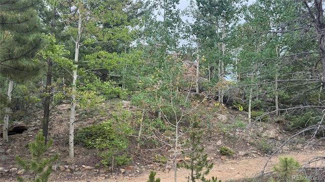 007 Virginia Canyon Rd, Central City, CO 80427