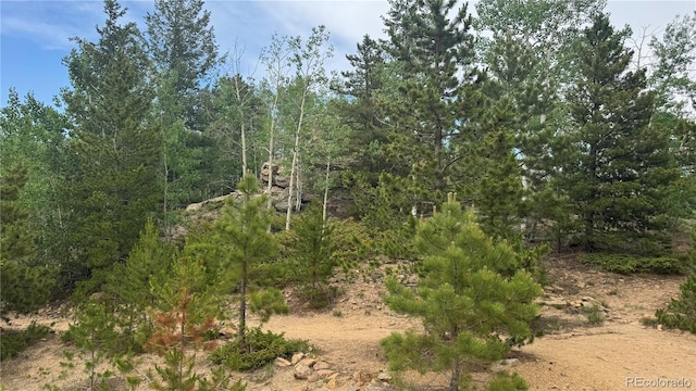 007 Virginia Canyon Rd, Central City, CO 80427
