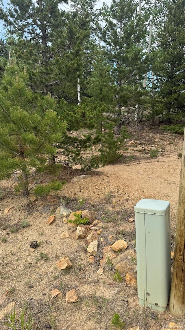 007 Virginia Canyon Rd, Central City, CO 80427