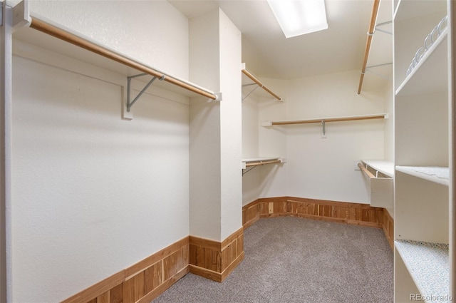 walk in closet with carpet flooring