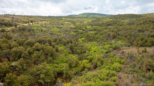 18973 Elk Reserve Rd, Glade Park, CO 81523 - photo 10