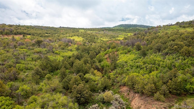18973 Elk Reserve Rd, Glade Park, CO 81523 - photo 11