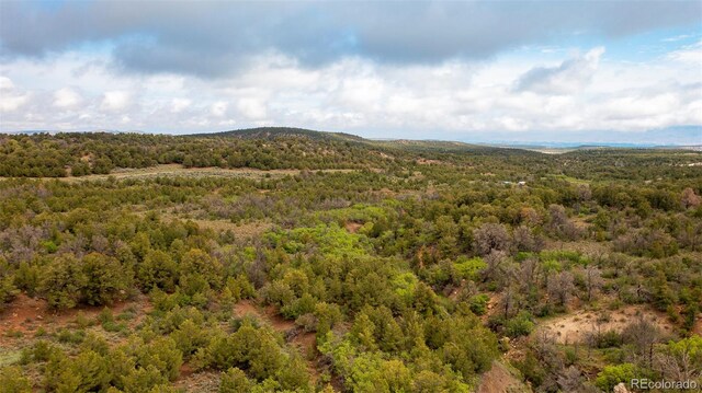 18973 Elk Reserve Rd, Glade Park, CO 81523 - photo 12
