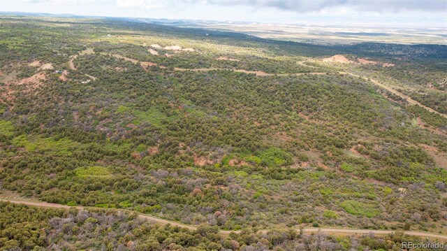 18973 Elk Reserve Rd, Glade Park, CO 81523 - photo 13