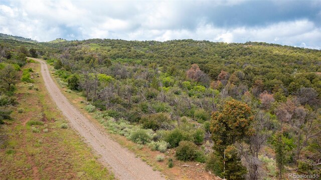 18973 Elk Reserve Rd, Glade Park, CO 81523 - photo 15