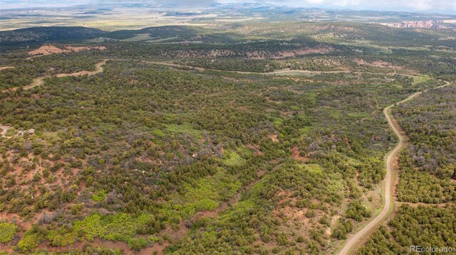 18973 Elk Reserve Rd, Glade Park, CO 81523 - photo 6