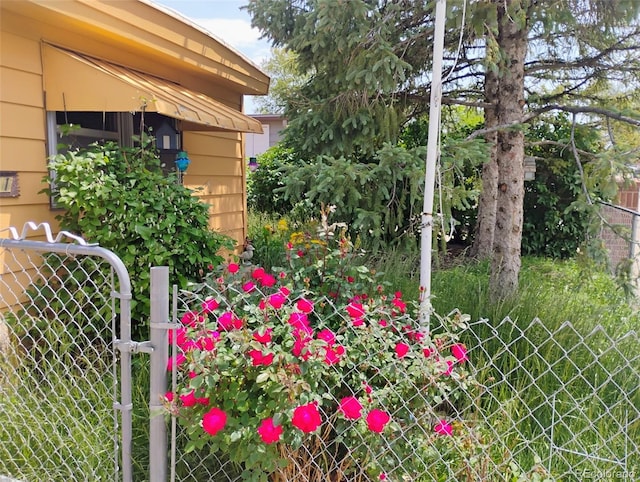 1011 Glen Creighton Dr, Dacono, CO 80514 - view of yard