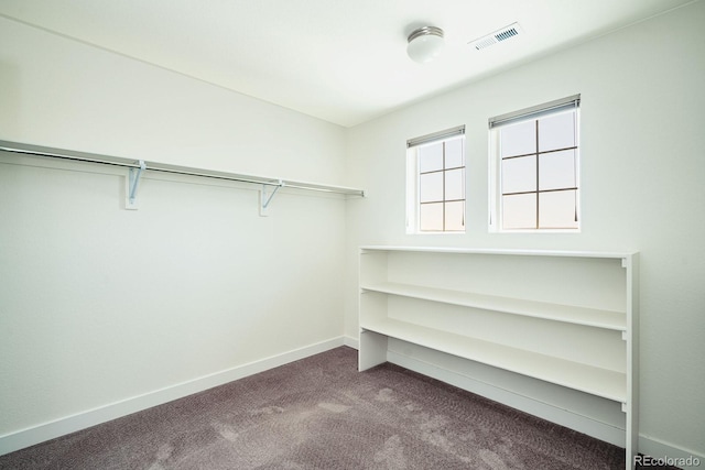 9607 Williamsburg St, Littleton, CO 80125 - walk in closet featuring carpet floors