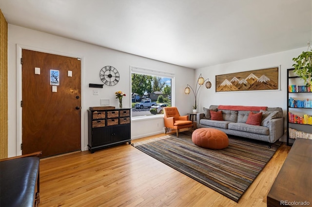 1211 S Zuni St, Denver, CO 80223 - living area with light wood-style flooring