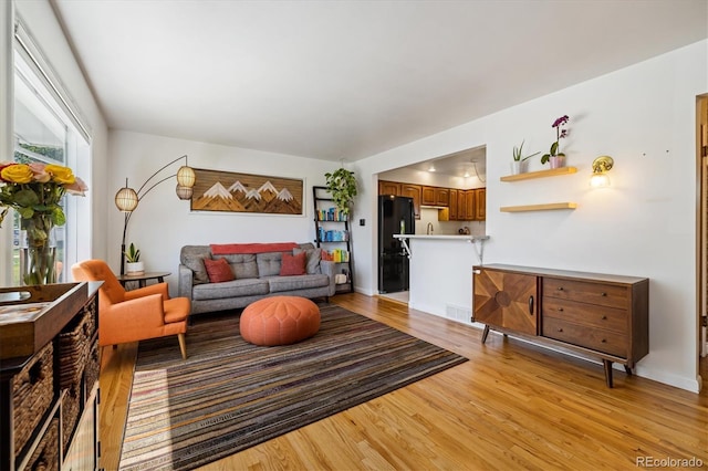 1211 S Zuni St, Denver, CO 80223 - living area featuring light wood finished floors