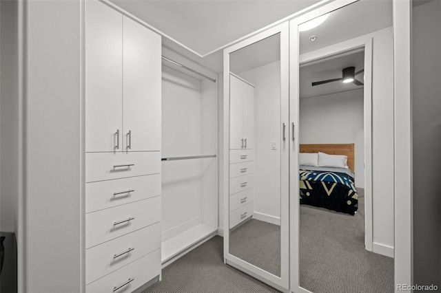 1750 Wewatta St Unit 605, Denver, CO 80202 - walk in closet featuring carpet floors