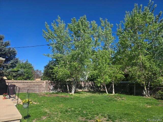 1903 Northmoor Ter, Pueblo, CO 81008 - view of yard