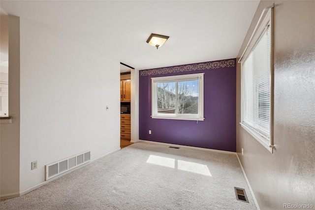 70 Palm Springs Dr, Colorado Springs, CO 80921 - photo 18