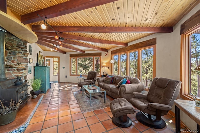 174 Needle Creek Rd, Divide, CO 80814 - tiled living area featuring wood ceiling and a wood stove