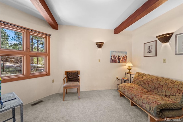 174 Needle Creek Rd, Divide, CO 80814 - living area with beam ceiling and carpet flooring