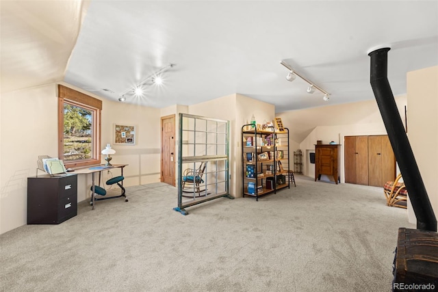 174 Needle Creek Rd, Divide, CO 80814 - office space with rail lighting, carpet, and lofted ceiling
