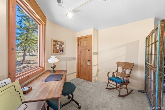 174 Needle Creek Rd, Divide, CO 80814 - carpeted office with track lighting