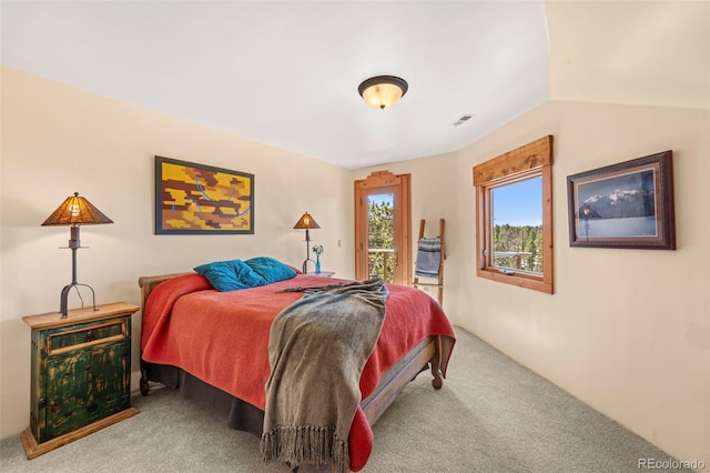 174 Needle Creek Rd, Divide, CO 80814 - bedroom featuring carpet and access to outside