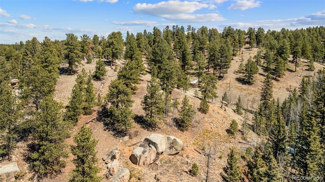 174 Needle Creek Rd, Divide, CO 80814 - drone / aerial view