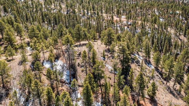 174 Needle Creek Rd, Divide, CO 80814 - aerial view of property's location featuring a forest